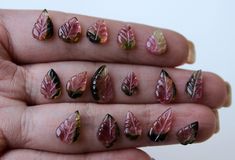 a person's hand holding several different sized leaf shaped nail art designs on their fingers