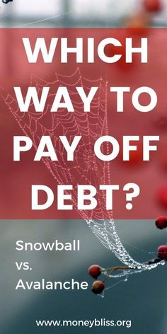 a spider web with the words which way to pay off debt? and snowball vs avalanche