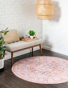 a living room with a rug, plant and potted plants