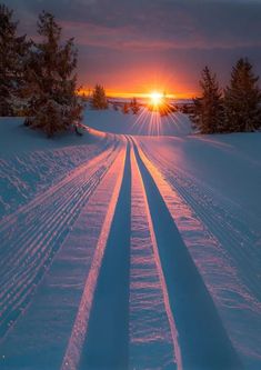 the sun is setting over some snow covered trees and tracks in the snow with cross country skis on them