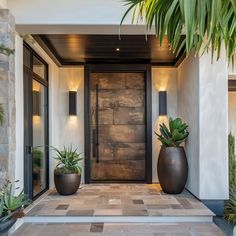 two large planters sit in front of the entrance to a modern home with wood doors