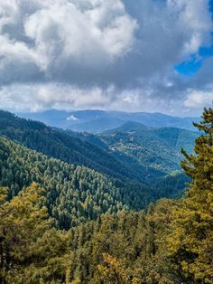 the mountains are covered in trees and clouds