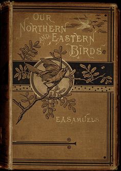 an old book with the title our northern and eastern birds written on it's cover