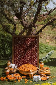 an outdoor area with food on the ground and trees in the backgroung