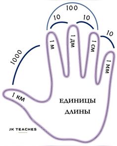 an image of a hand with numbers on it