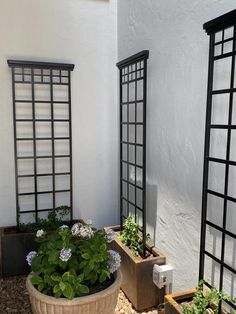 two planters with plants in them sitting next to each other on the ground near a building