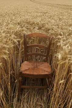 a wooden chair sitting in the middle of a large field of wheat with it's seat up