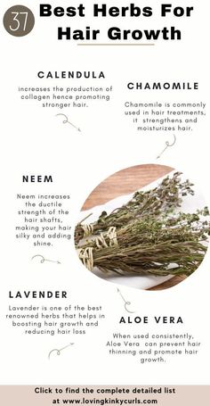 Herbs For Hair Growth, Hair Recipes, Ayurvedic Hair Care, Herbs For Hair, Ayurvedic Hair, Homemade Hair Products, Pelo Afro