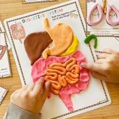 a child's hand is touching a model of the human body