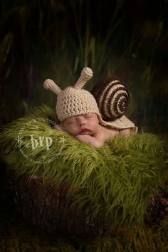 a newborn baby wearing a snail hat