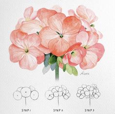 a watercolor drawing of pink flowers on a white paper with the words step by step