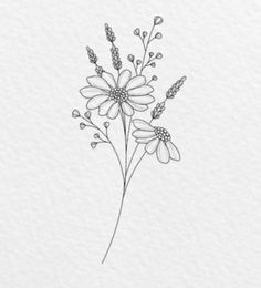 a drawing of flowers on white paper