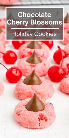 cherry blossom cookies with chocolate on top and the words, chocolate cherry blossoms holiday cookies