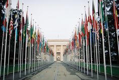 many flags are lined up in front of a building with a walkway leading to it