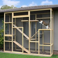 a cat climbing up the side of a wooden structure to get out of an open window