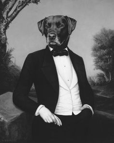 a black and white photo of a dog in a tuxedo