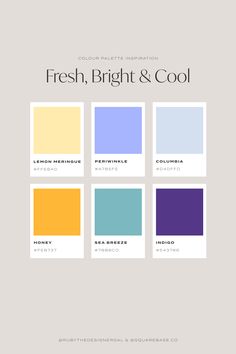 Fresh, Bright and Cool Colour Palette for your Brand or Squarespace Website Colour Palette For Business, Five Color Palette, Fresh Logo Typography, Technicolor Fabrics, Cool Colour Palette, Bright Color Pallets, Bright Colour Palette, Fresh Logo Design