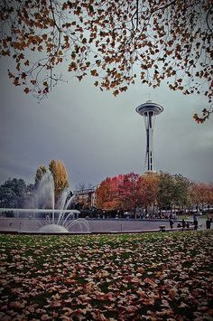 the space needle is in the background with autumn leaves on the ground and trees around it