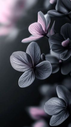 purple and white flowers are floating in the air on a black background with blurry lights