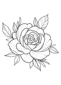 a black and white drawing of a rose