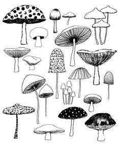 various types of mushrooms are shown in this black and white drawing, with dots on them