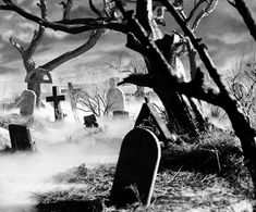 black and white photograph of graveyard with tombstones