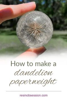 someone holding a dandelion in their hand with the words how to make a dandelion paperweight