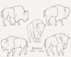 four bison silhouettes are shown in black and white, with the words bison svg + png