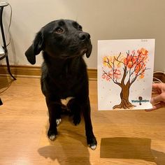 a black dog is sitting on the floor and looking up at someone holding a card