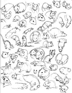 an image of some animals that are drawn in black and white