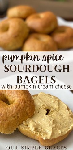 These homemade pumpkin spice sourdough bagels with pumpkin cream cheese are the best cozy fall recipe you will want to make again and again. They make for the perfect easy breakfast that everyone in the family will love. Sourdough Pumpkin Bagels Recipe, Sourdough Pumpkin Bagel Recipe, Pumpkin Spice Sourdough Bagels, Sourdough Discard Pumpkin Bagels, Pumpkin Sourdough Boule, Pumpkin Spice Bagels, Mini Sourdough Pumpkin Loaves, Chocolate Sourdough Bagels, Sourdough Bagel Recipes