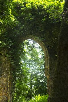 an archway in the middle of a lush green forest