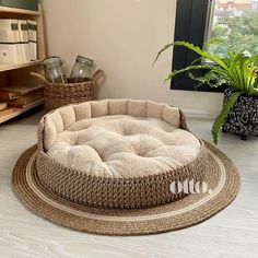 a dog bed is on the floor next to a potted plant and bookshelf