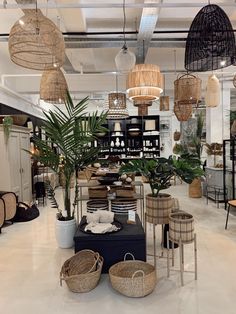 a room filled with lots of different types of plants and wicker baskets hanging from the ceiling