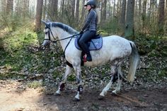 a woman riding on the back of a white horse through a forest filled with trees