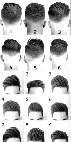 Beard Hairstyle, Faded Hair, Men's Hairstyles