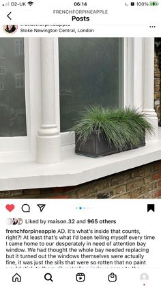 a potted plant sitting on top of a window sill