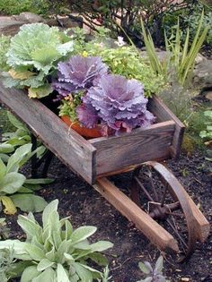 a wooden wheelbarrow filled with lots of plants