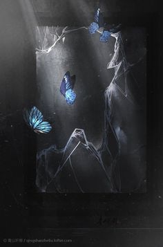 three blue butterflies flying in the air above some ice and snow on a black background