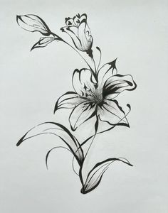 a black and white drawing of a flower