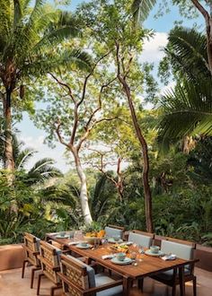 an outdoor dining table surrounded by tropical trees