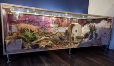 a large display case with plants and rocks in it on top of a hard wood floor