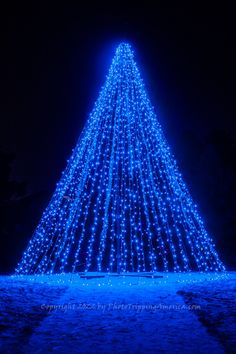 a large christmas tree is lit up with blue lights