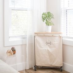 a white cabinet with a potted plant sitting on top of it next to a window