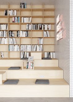 the bookshelf is made out of plywood and has many shelves for books