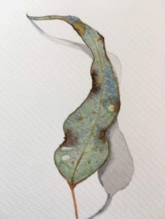 a painting of a leaf with brown and white spots on it's back end