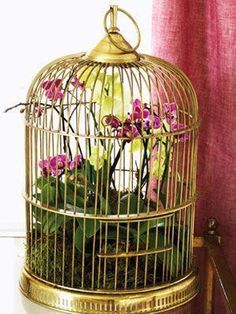 a gold birdcage filled with purple flowers