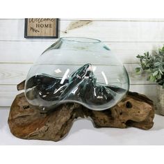 a glass bowl sitting on top of a wooden log next to a potted plant