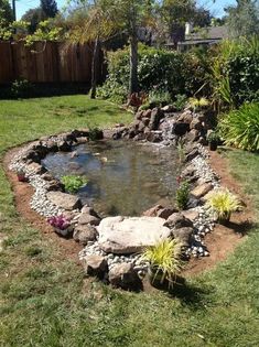 a small pond in the middle of a yard with rocks and plants around it, surrounded by grass