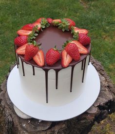 a chocolate cake topped with strawberries on top of a white plate next to a tree stump